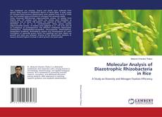 Buchcover von Molecular Analysis of Diazotrophic Rhizobacteria in Rice