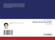 Walnut of the City of Baft kitap kapağı