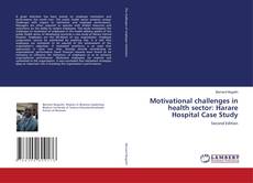 Capa do livro de Motivational challenges in health sector: Harare Hospital Case Study 