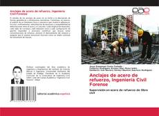 Borítókép a  Anclajes de acero de refuerzo, Ingeniería Civil Forense - hoz