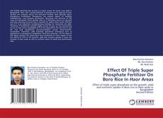 Bookcover of Effect Of Triple Super Phosphate Fertilizer On Boro Rice In Haor Areas