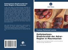 Borítókép a  Dattelpalmen-Biodiversität der Adrar-Region in Mauretanien - hoz