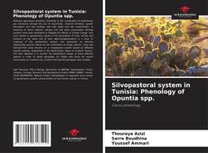 Bookcover of Silvopastoral system in Tunisia: Phenology of Opuntia spp.
