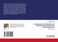 Bookcover of Comparative Evaluation of the Diseases Associated with Sugarcane
