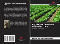Buchcover von Pig manure in soybean and maize crops