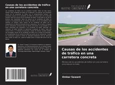 Buchcover von Causas de los accidentes de tráfico en una carretera concreta