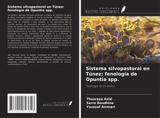 Copertina di Sistema silvopastoral en Túnez: fenología de Opuntia spp.