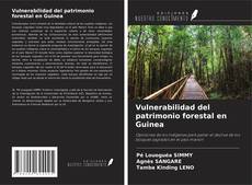 Couverture de Vulnerabilidad del patrimonio forestal en Guinea