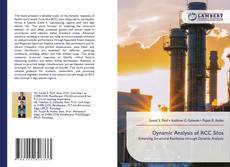 Bookcover of Dynamic Analysis of RCC Silos