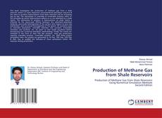 Buchcover von Production of Methane Gas from Shale Reservoirs