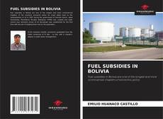 Capa do livro de FUEL SUBSIDIES IN BOLIVIA 
