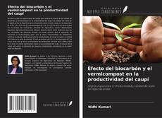 Buchcover von Efecto del biocarbón y el vermicompost en la productividad del caupí