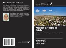 Buchcover von Algodón silvestre en Egipto