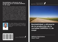 Buchcover von Rentabilidad y eficiencia de la producción de la variedad SAMPEA-11 de caupí