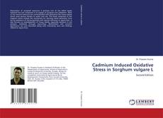 Bookcover of Cadmium Induced Oxidative Stress in Sorghum vulgare L