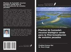 Buchcover von Plantas de humedal: recurso biológico verde para la fitorremediación de metales pesados