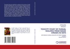 Borítókép a  TOXICITY STUDY OF FUNGAL ISOLATES FROM MAIZE STRAWS IN RATS - hoz