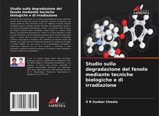 Обложка Studio sulla degradazione del fenolo mediante tecniche biologiche e di irradiazione