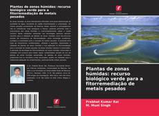 Borítókép a  Plantas de zonas húmidas: recurso biológico verde para a fitorremediação de metais pesados - hoz