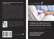 Capa do livro de Cuidados de enfermería en la primera fase del parto normal 