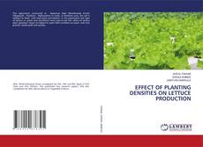 Bookcover of EFFECT OF PLANTING DENSITIES ON LETTUCE PRODUCTION