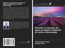 Buchcover von Afrontar la escasez de agua en Egipto mediante el cultivo intercalado