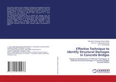 Bookcover of Effective Technique to Identify Structural Damages in Concrete Bridges
