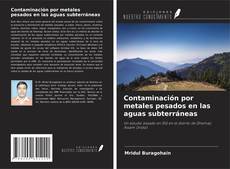 Buchcover von Contaminación por metales pesados en las aguas subterráneas