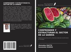 Capa do livro de COMPRENDER Y ESTRUCTURAR EL SECTOR DE LA SANDÍA 