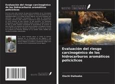 Buchcover von Evaluación del riesgo carcinogénico de los hidrocarburos aromáticos policíclicos