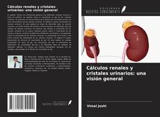 Copertina di Cálculos renales y cristales urinarios: una visión general