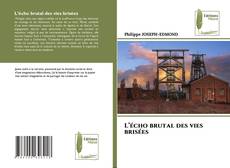 Buchcover von L’écho brutal des vies brisées