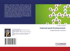 Bookcover of Internal work Environment