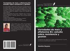 Buchcover von Variedades de maíz y aflatoxina B1: estudio sobre resistencia y gestión