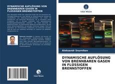 Bookcover of DYNAMISCHE AUFLÖSUNG VON BRENNBAREN GASEN IN FLÜSSIGEN BRENNSTOFFEN