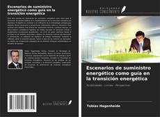 Couverture de Escenarios de suministro energético como guía en la transición energética