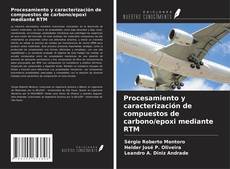 Buchcover von Procesamiento y caracterización de compuestos de carbono/epoxi mediante RTM