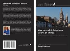 Couverture de Vías hacia el sinhogarismo juvenil en Irlanda