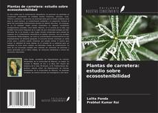 Buchcover von Plantas de carretera: estudio sobre ecosostenibilidad