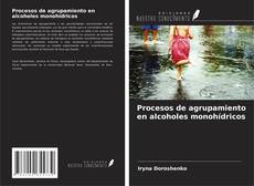 Buchcover von Procesos de agrupamiento en alcoholes monohídricos