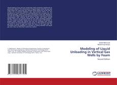 Bookcover of Modeling of Liquid Unloading in Vertical Gas Wells by Foam