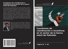 Copertina di Cuestiones de coordinación e incentivos en el sector de la banca móvil de Pakistán