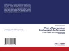 Effect of Teamwork on Employees Job Performance的封面