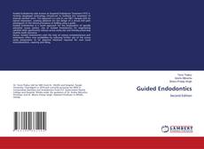 Guided Endodontics kitap kapağı