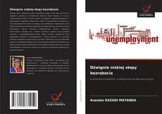 Bookcover of Dźwignie niskiej stopy bezrobocia