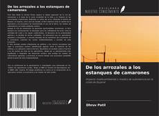 Couverture de De los arrozales a los estanques de camarones