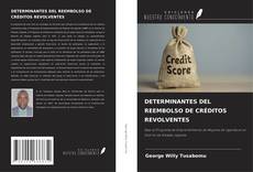 Buchcover von DETERMINANTES DEL REEMBOLSO DE CRÉDITOS REVOLVENTES