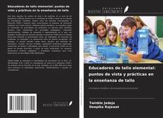 Copertina di Educadores de tallo elemental: puntos de vista y prácticas en la enseñanza de tallo