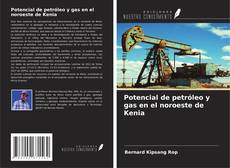 Copertina di Potencial de petróleo y gas en el noroeste de Kenia