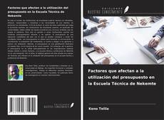 Buchcover von Factores que afectan a la utilización del presupuesto en la Escuela Técnica de Nekemte